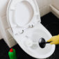 How to Clean Toilet Bowl Ring with Vinegar